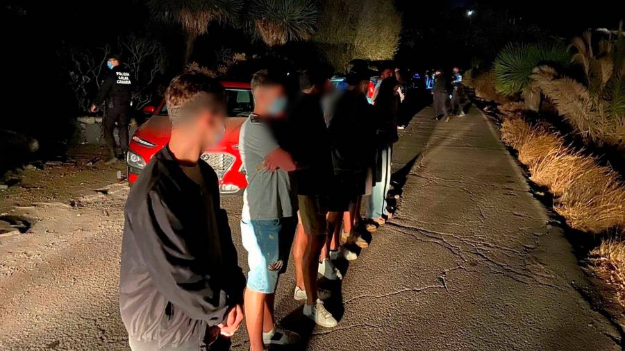 Imagen de la detención en la pasada noche en Tenerife. Foto: Policía Local de Tenerife