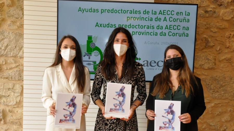Ayudas predoctorales de la AECC destinadas a la investigación del cáncer