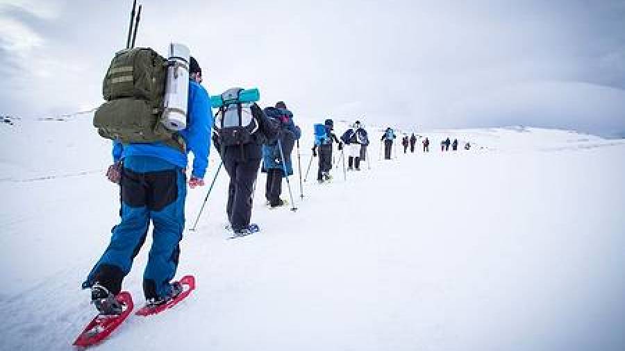 Dous docentes de Ourense nunha expedición que cruzará o Círculo Polar Ártico