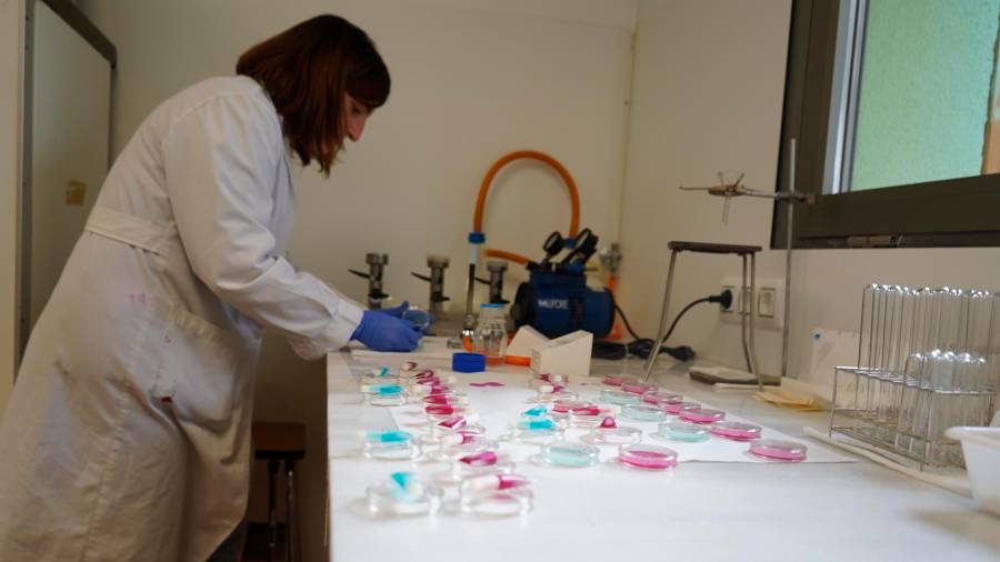 Actividad en un laboratorio de Segovia. Foto: E.P.