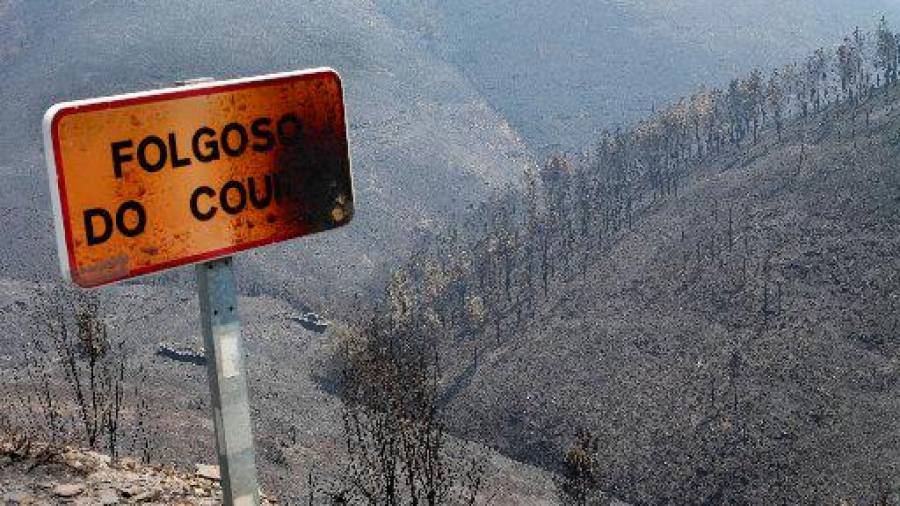 Devastación. Zonas ennegrecidas por las llamas en Folgoso do Courel. Foto: C.Castro