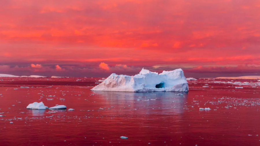 La puesta de sol enrojece el Canal Lemaire, frente a la costa oeste de la Península Antártica. El hielo costero del continente se está desmoronando a medida que aumentan las temperaturas de océano y atmósfera. (Fuente, nationalgeographic.com)