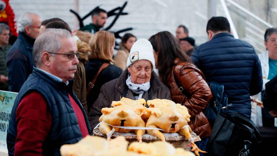 La localidad lucense de Vilalba revive este 21 de diciembre, un año más, la tradicional feria de los capones, a la que llegan 1.100 ejemplares censados. EFE/ Eliseo Trigo