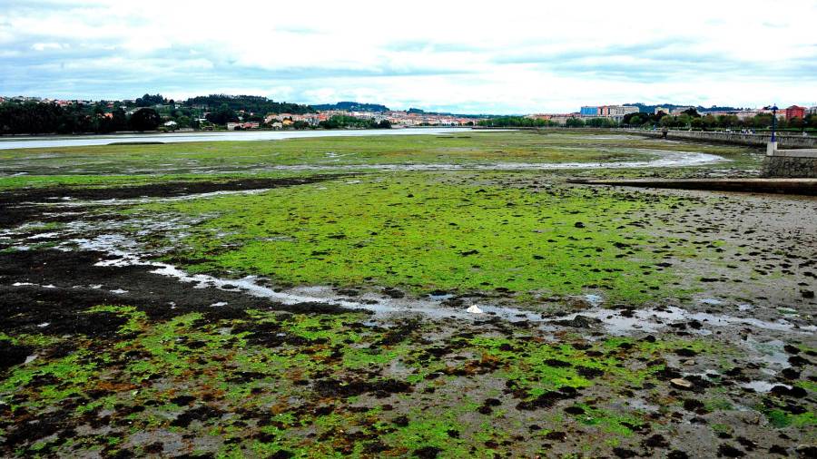 Contaminación de la ría en el litoral de Culleredo. Foto: Almara
