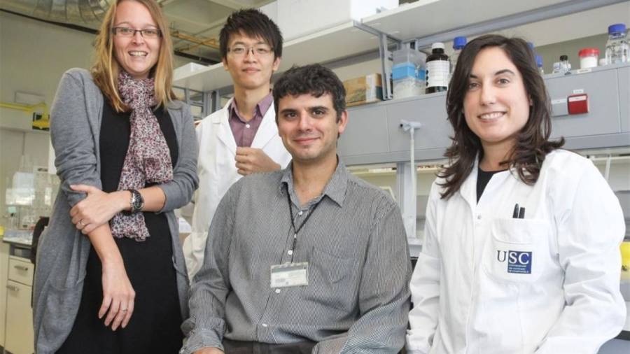 Investigadores de la USC crean partículas capaces de penetrar un tumor y llevar fármacos a su interior