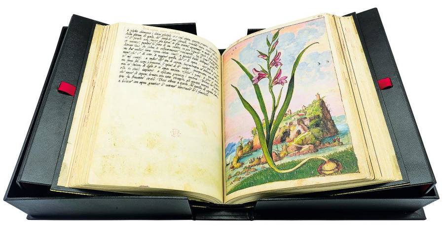 Historia del mundo y de la botánica en la muestra de Manuel Moleiro