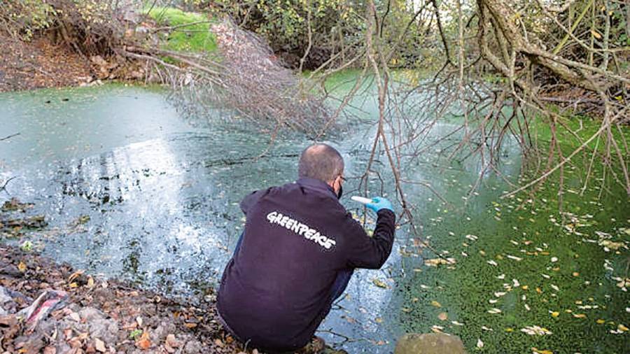 Un miembro de Greenpeace analiza un río. Foto: Gallego