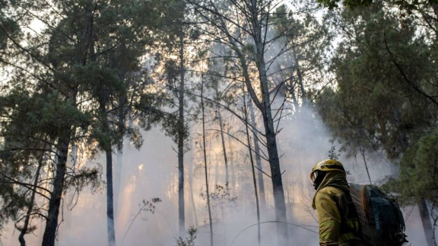 Galicia en jaque por 14 incendios que amenazan a la población
