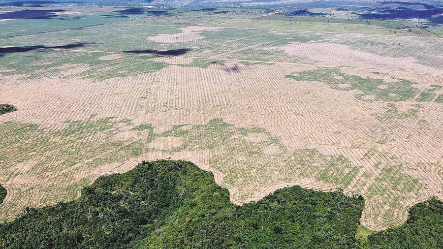 La deforestación del Amazonas alcanza niveles históricos.