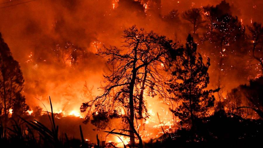 Menos de mil incendios y 4.371 hectáreas quemadas en 2021