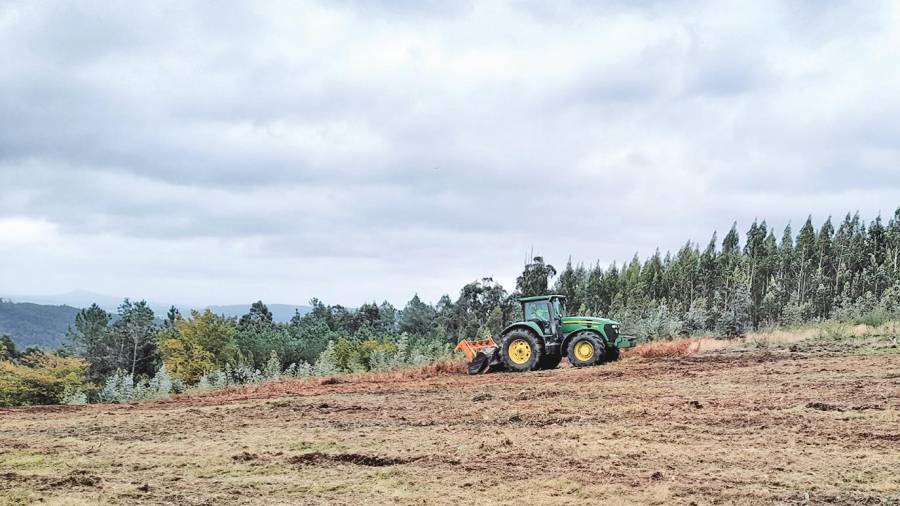 Tractor traballando nun dos terreos que serán repoboados con especies caducifolias. Foto: CA