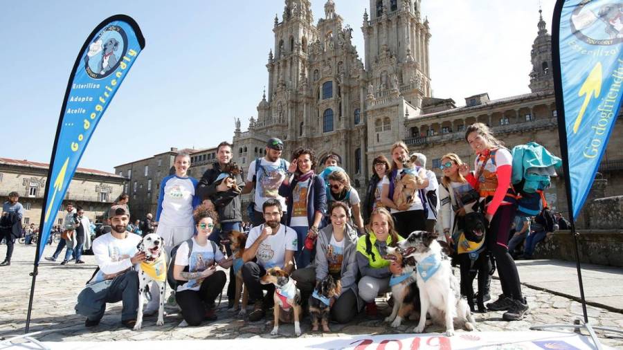 'Dogfluencers Meeting', una peregrinación simultánea y solidaria, corona el Obradoiro