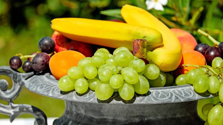 alimentos. Una bandeja de fruta surtida. Foto: Pixabay