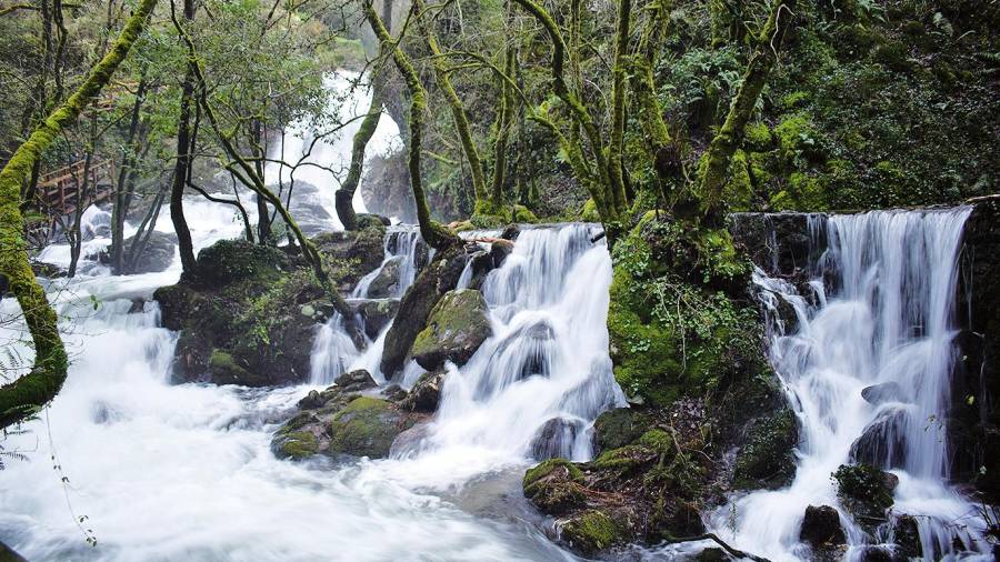 Los turoperadores pudieron conocer la belleza de la cascada de Parafita, en Valga. Foto: Concello de Valga