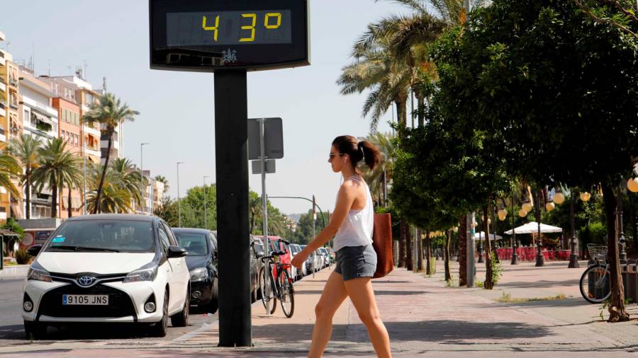 MUCHOS GRADOS. Excesiva temperatura en la ciudad de Córdoba el pasado verano. Foto: Salas