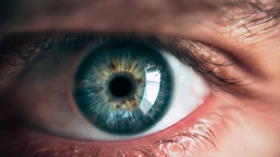 La rugosidad de la retina y las diez capas que la integran ayudan a determinar el Alzheimer. Foto: Víctor Freitas