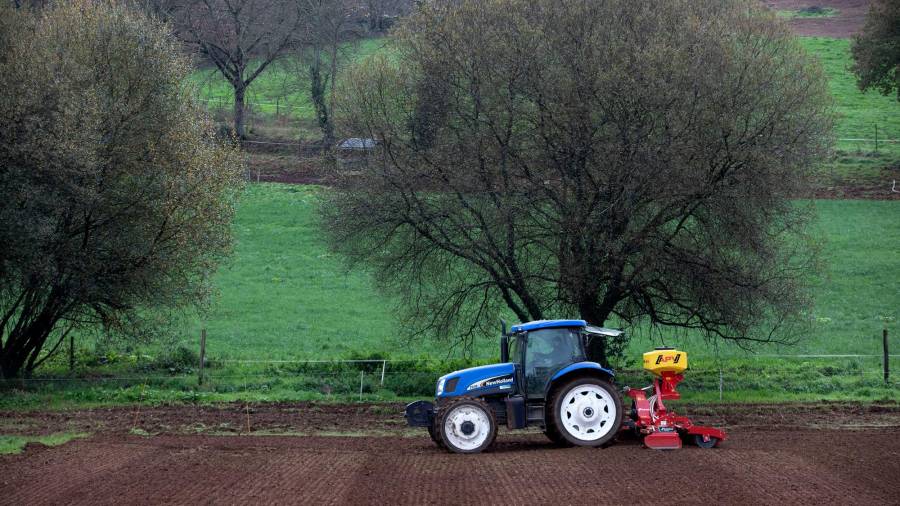 El sector agrario fue durante el pasado ejercicio uno de los elementos tractores de la economía gallega. Foto: C.M.R.