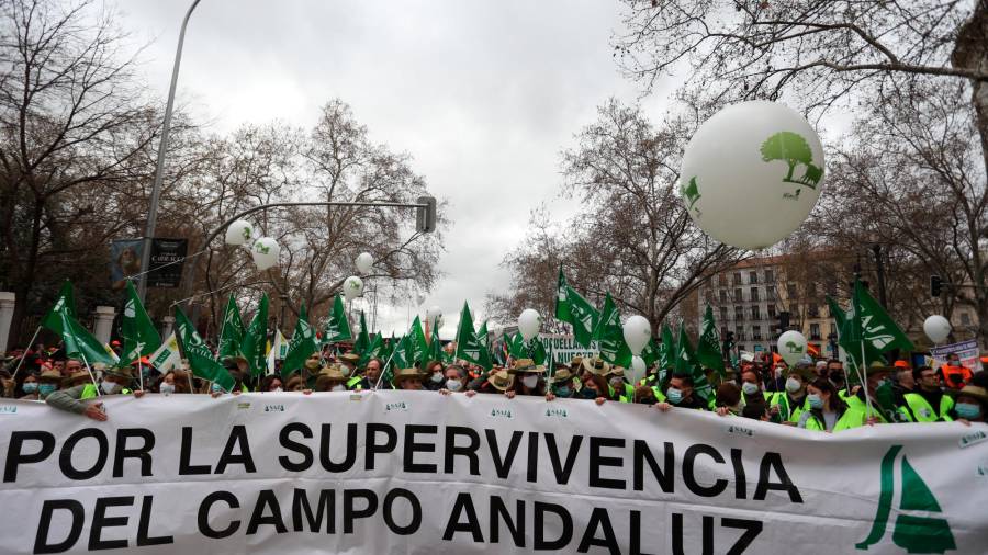 Varios manifestantes con banderas y una pancarta de Asaja Sevilla que reza 'Por la supervivencia del campo andaluz', en la marcha ‘20M’, a 20 de marzo de 2022, en Madrid (España). Los organizadores de esta convocatoria, denominada como ‘20M’, son Asaja, COAG, UPA, Real Federación Española de Caza (RFEC), Oficina Nacional de la Caza (ONC), Alianza Rural, Unión de Criadores del Toro de Lidia (UCTL), Federación Nacional de Comunidades de Regantes de España (Fenacore) y Cooperativas Agro-alimentarias. Esta multitudinaria marcha reivindica un futuro mejor para el mundo rural y las actividades que lo sustentan. // Isabel Infantes / Europa Press 20/03/2022