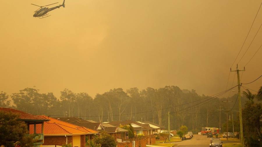 Los fuegos forestales arrasan 575.000 hectáreas en Australia