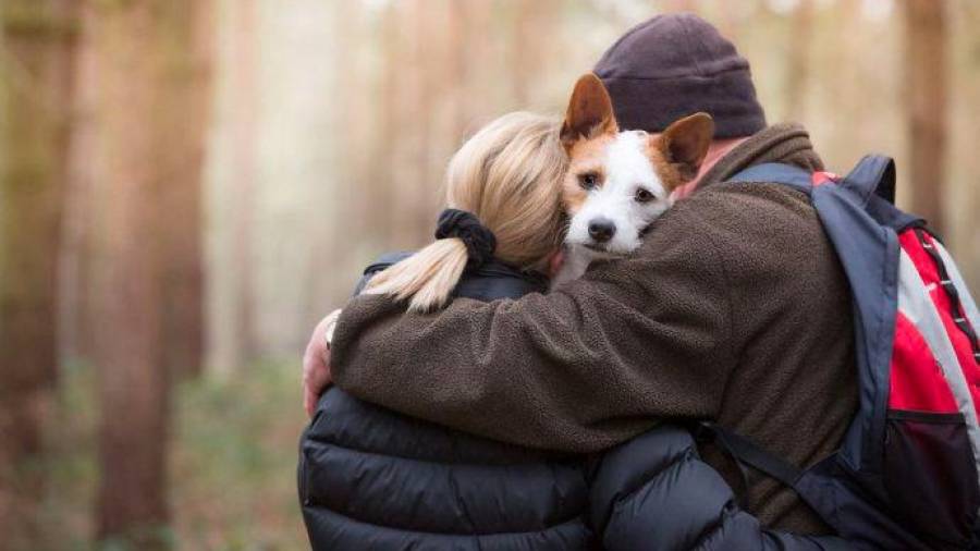 Quien tiene un amigo tiene un tesoro, pero quien tiene un perro tiene un amor incondicional muy difícil de superar. (Fuente, www.rolloid.net)