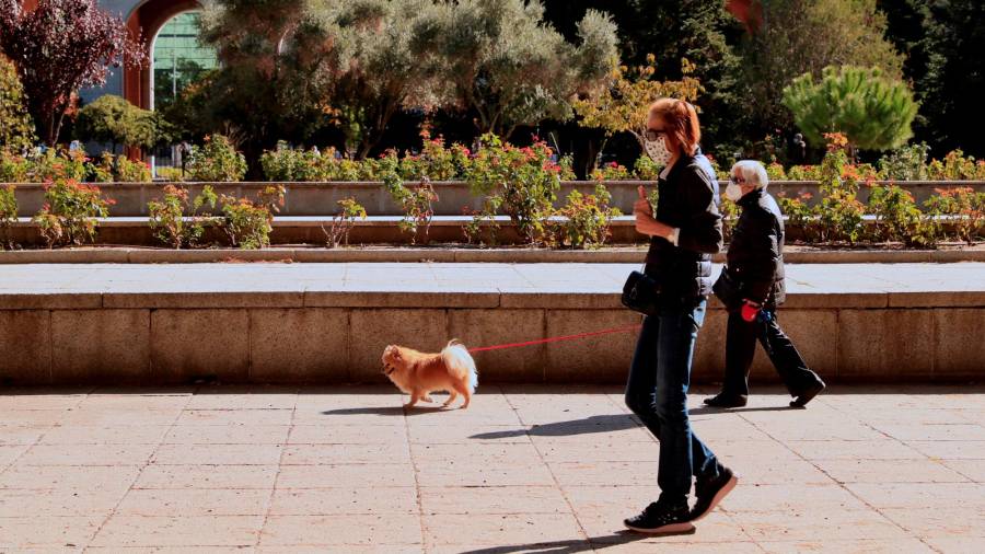 contagios. Dos personas paseando a su perro en la ciudad de Madrid, este viernes. Foto: Efe
