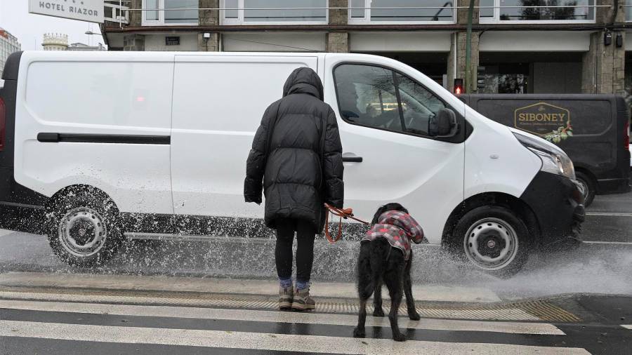 Imagen de archivo de una mujer espera con su perro antes de cruzar por un paso de cebra de A Coruña. FOTO: M. Dylan