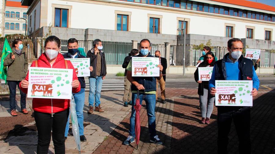 Situación crítica en la ganadería gallega por contagio del golpe a la hostelería