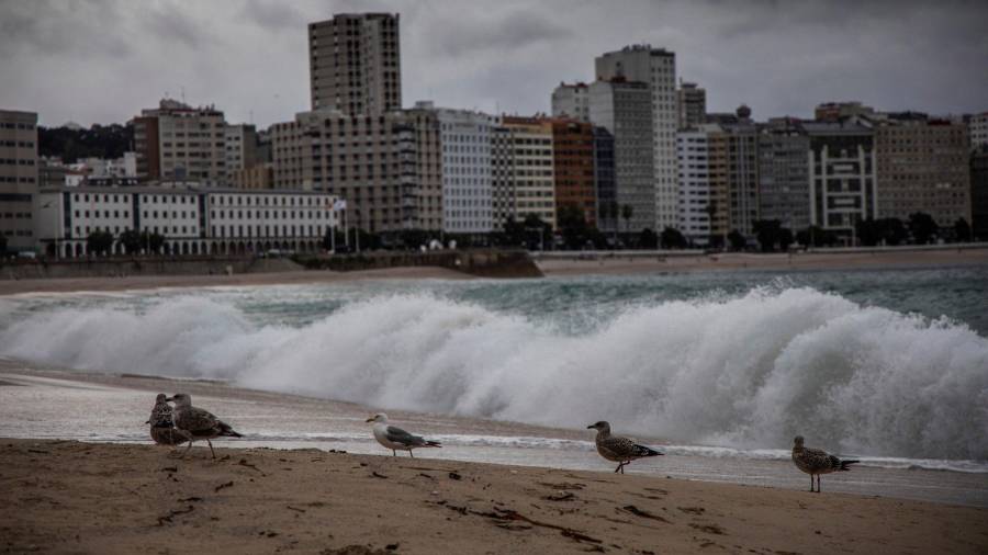 A CORUÑA, 19/08/2020- Playa de Riazor en A Coruña, desierta ayer miércoles debido a las borrascas. EFE/Óscar Corral