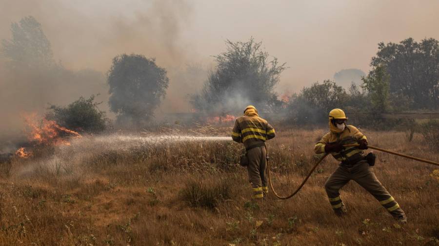 Reabierta la línea del AVE Madrid-Galicia afectada por el incendio de Zamora