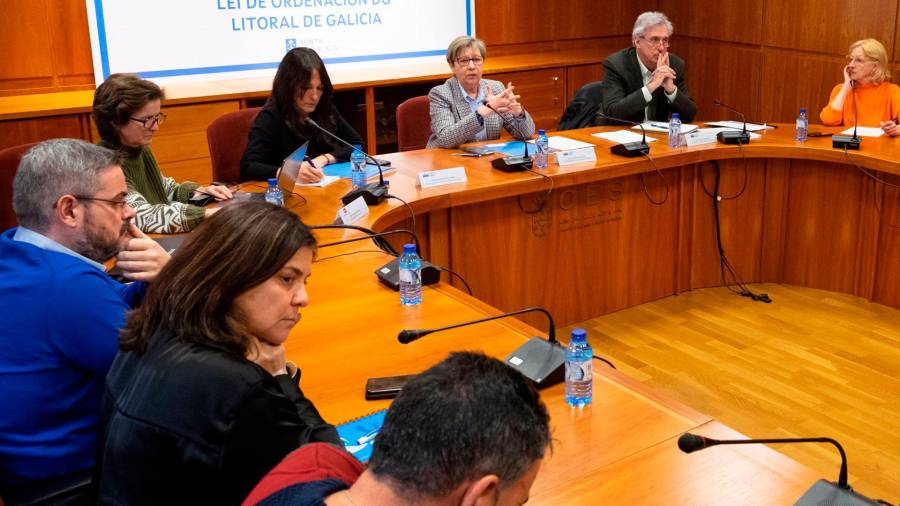 La conselleira do Mar, Rosa Quintana, preside el pleno del Consello Galego de Pesca. FOTO: XUNTA
