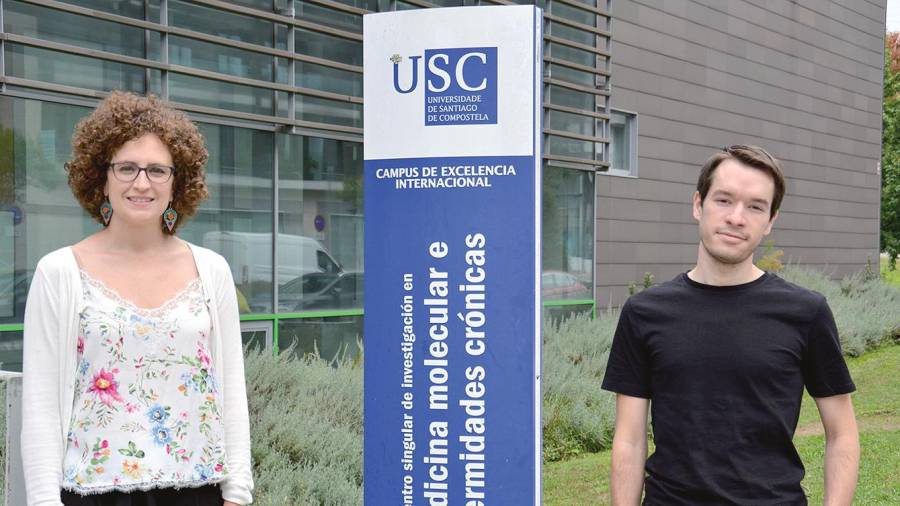 El trabajo coordinado por Diana Guallar y Miguel Fidalgo supone un hito en el campo del uso terapéutico de las células madre Foto: USC