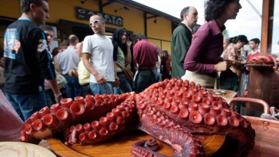 El pulpo es uno de los productos del mar más aprecidados de la gastronomía gallega y genera gran valor a la flota. Foto: ECG