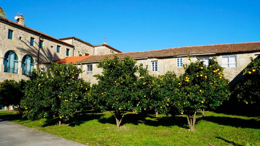El convento cuenta con una gran cantidad de árboles frutales por todo el recinto. Foto: Jesús Prieto
