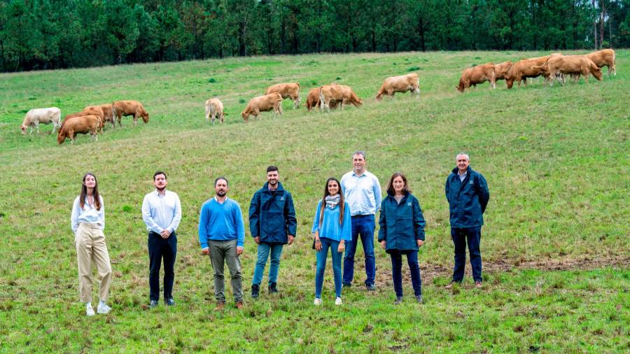 expertos. El equipo de especialistas de Reganosa, Repsol, Naturgy e Impulsa Galicia. Foto: Impulsa