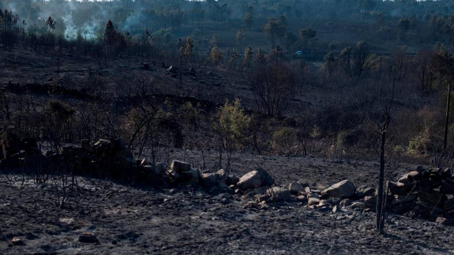 TOÉN (OURENSE), 08/08/2020.- Superficie calcinada en el incendio forestal que permanece activo en el municipio orensano de Toén. EFE/Brais Lorenzo