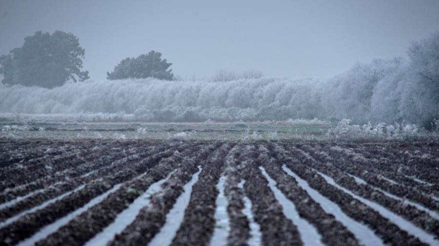 Imagen de Xinzo de Limia con un campo completamente helado. Reportaje fotográfico: Brais Lorenzo