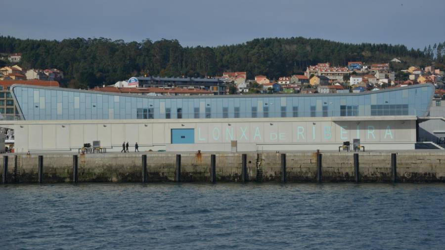 Instalaciones de la lonja de Ribeira, en la que Portos de Galicia invirtió 14 millones de euros. Foto: C. de R.