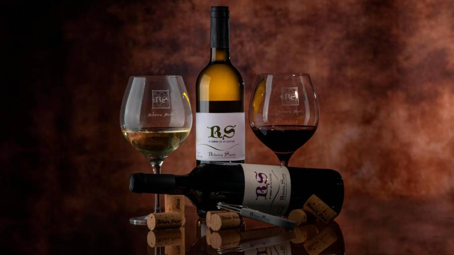 Botellas de vino blanco godello y tinto mencía de la D.O. Ribeira Sacra Foto: ECG