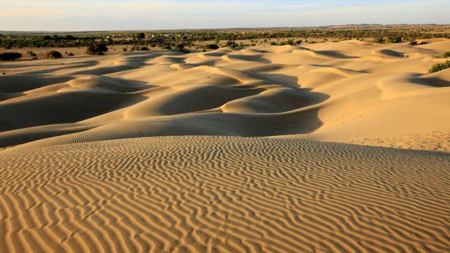 Desierto Thar. El gran desierto indio comparte frontera con Pakistán y está formado por colinas de arena onduladas entre las que se puede encontrar vegetación dispersa y unas de las últimas poblaciones de león asiático en estado silvestre. (Fuente, www.traveler.es)