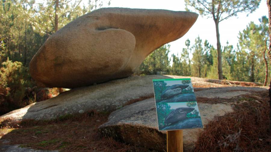 Para uns O Tiburón e para outros A Man, outra singular escultura pétrea. Foto: Concello de Vimianzo