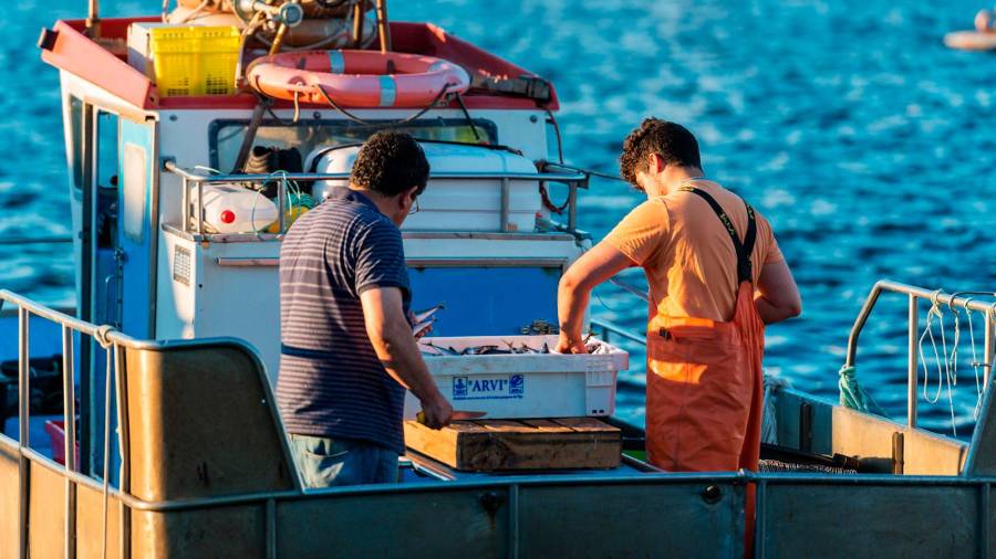 mares. Dos pescadores clasifican la captura obtenida en un pequeño barco pesquero amarrado en el puerto de Portonovo (Pontevedra). Foto: Xunta