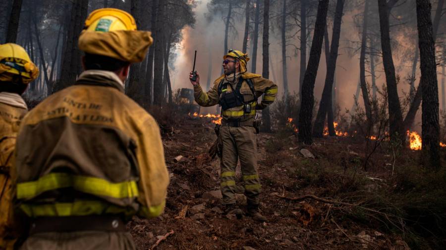 Bomberos trabajan en la extinción del incendio en la Sierra Culebra , a 16 de junio de 2022, en Zamora, Castilla y León, (España). // Emilio Fraile / Europa Press 16/06/2022