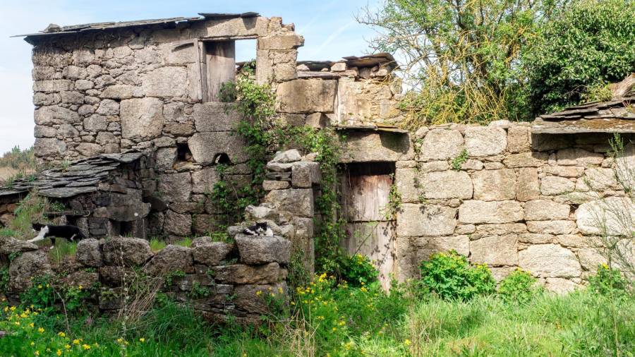 crisis del rural. Vista de una vivienda destruida por el paso del tiempo a las afueras de Lugo Foto: Efe