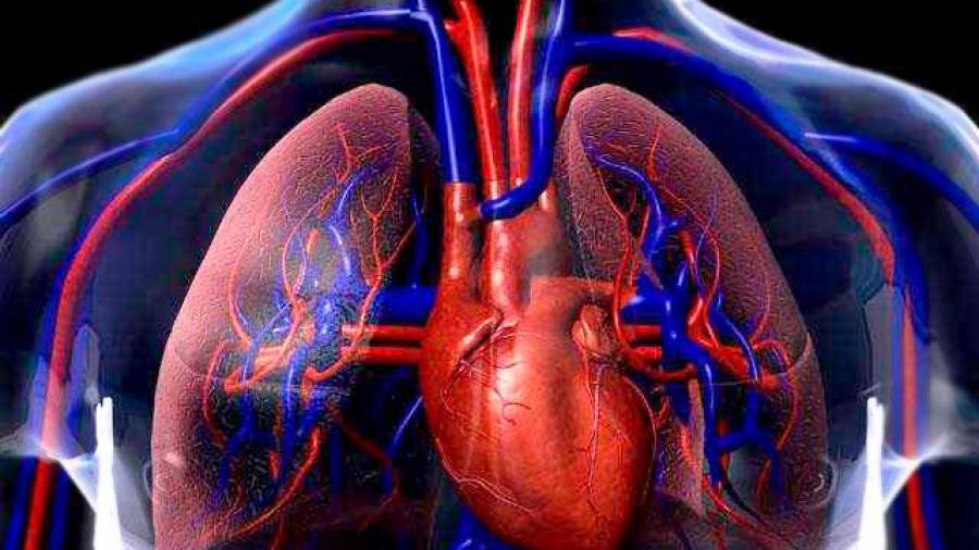 Distintos factores generan graves consecuencias cardiovasculares. Foto: Flickr
