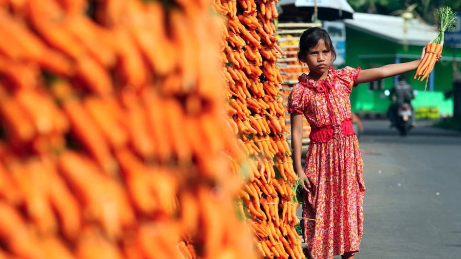 Joven vendedora en las calles de Cisarua Bogor, Indonesia, con un manojo de zanahorias en la mano. (Autor, Adi Weda Fuente EFE)