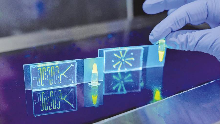 chips. Así lucen los chips del proyecto ‘Detección rápida y automatizable para SARS-CoV-2’. Foto: Gallego