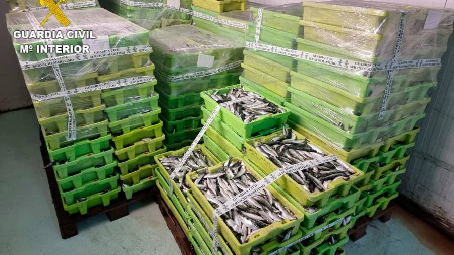 Imagen de las cajas de sardina decomisada. Foto: Guardia Civil