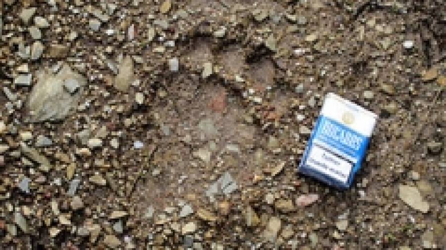 Descubren las huellas de un oso pardo en las montañas de O Courel