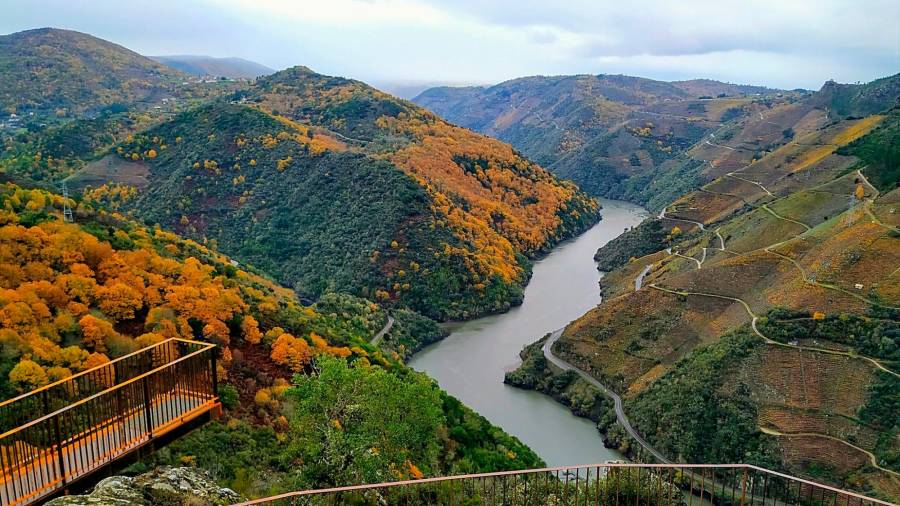 Estampa panorámica del cañón del río Sil desde el mirador de Matacás, en Castro Caldelas Foto: Angar