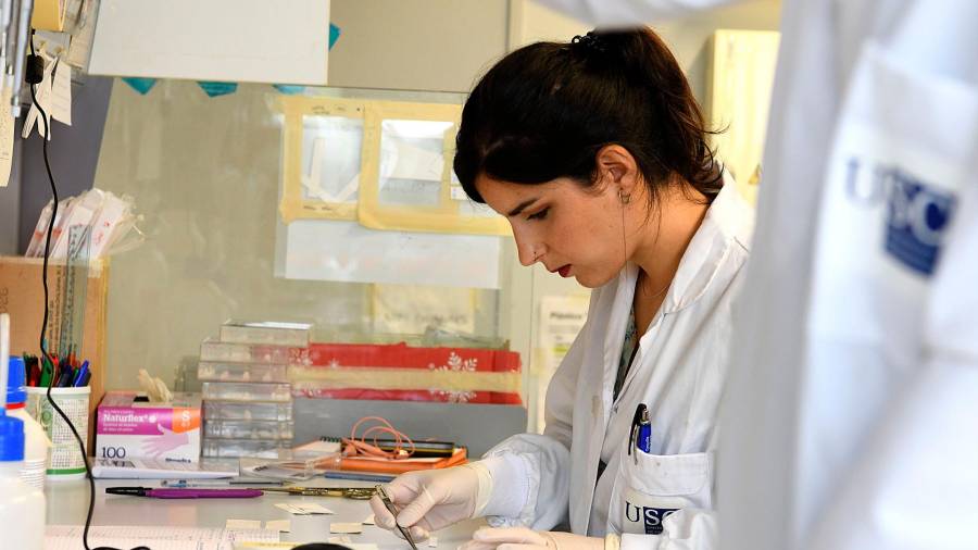 Una investigadora trabaja en un laboratorio de la Universidade de Santaigo.